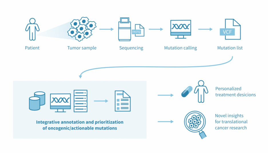 Precision oncology workflow for interpreting cancer mutations and prioritizing oncogenic alterations.
