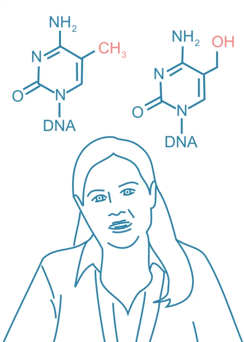 DNA Methylation: What’s the Difference Between 5mC and 5hmC?