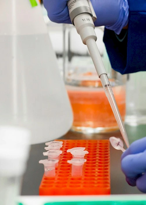 Decoding STAT1 Isoform-Specific Control of Macrophage Responses Through Multiomics Analysis