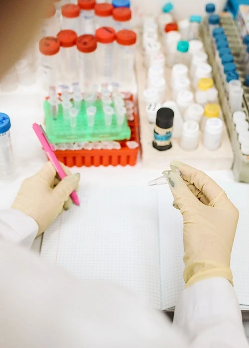 Supporting Developmental Biology Research Through Bioinformatics Mentoring